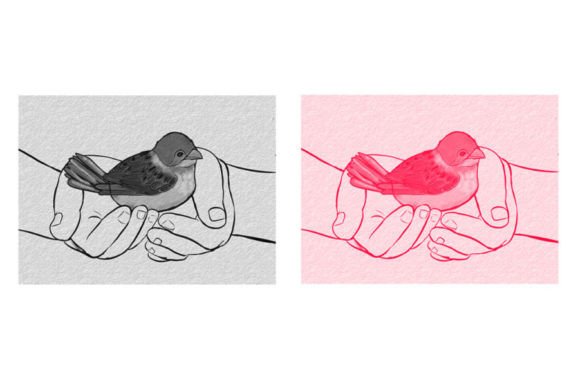 Bird Brush: Elevate Your Digital Art