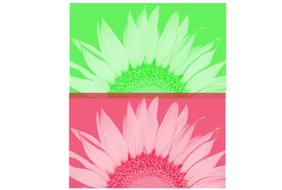 Brush 34: A Practical Tool for Digital Creators and Everyday Designers