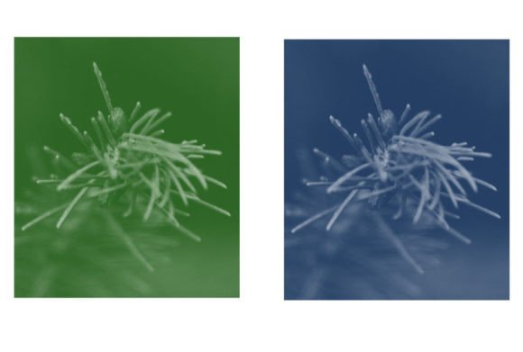 Brush 46: A Deep Dive into Precision and Texture for Digital Creators