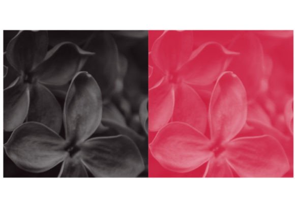 Refining Digital Precision: How Brush 43 Elevates Modern Creative Workflows